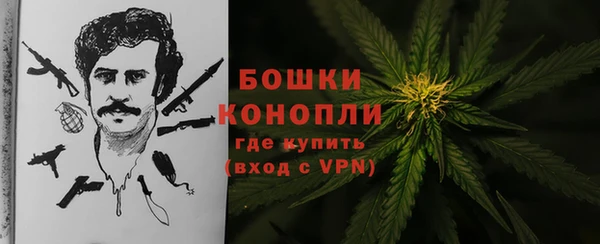шишки Куйбышев