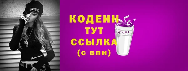 шишки Куйбышев