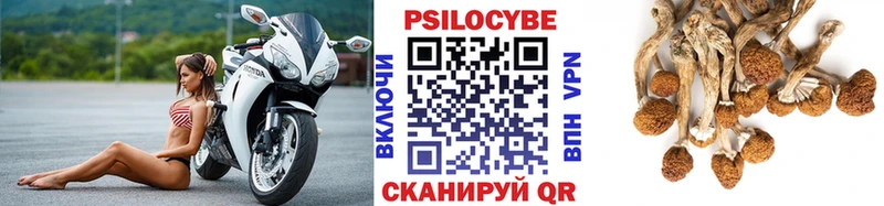 mega ссылка  Урюпинск  Псилоцибиновые грибы MAGIC MUSHROOMS 