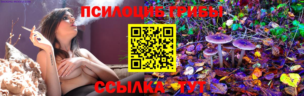 Псилоцибиновые грибы Magic Shrooms Урюпинск
