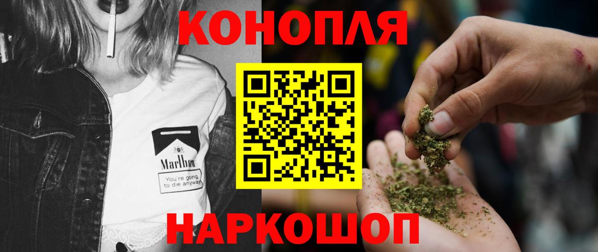 Марихуана план  Конопля сатива  Урюпинск  Вход с VPN 